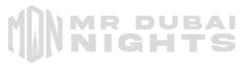 MR Dubai Nights